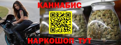крисы Белореченск
