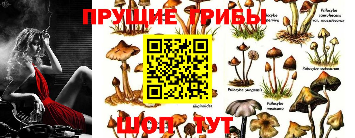 Богородск  Галлюциногенные грибы ЛСД  Вход с VPN  Галлюциногенные грибы ЛСД 
