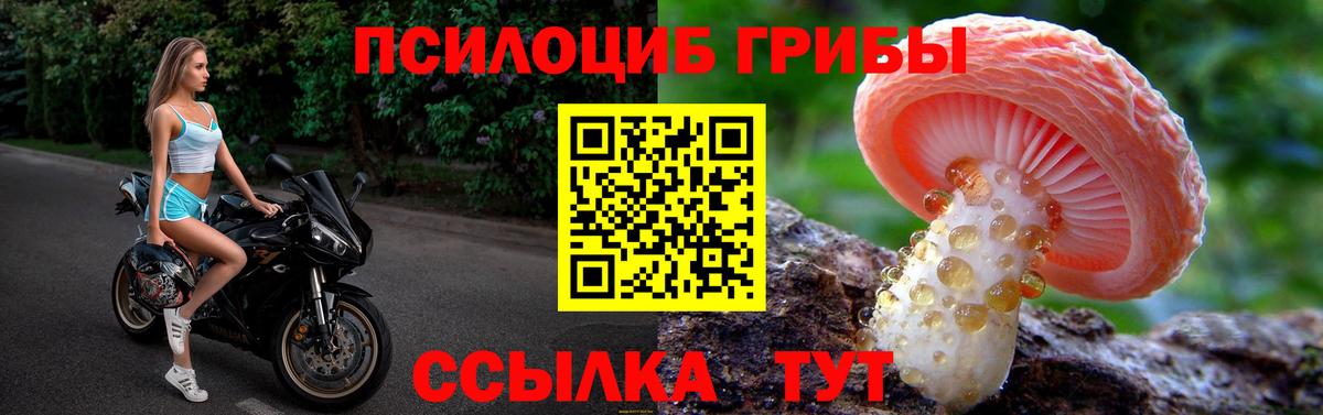 Галлюциногенные грибы мухоморы Богородск